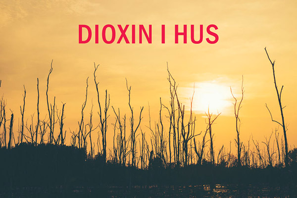 Dioxin i hus, är det vanligt och orsakar exponering hälsoeffekter?